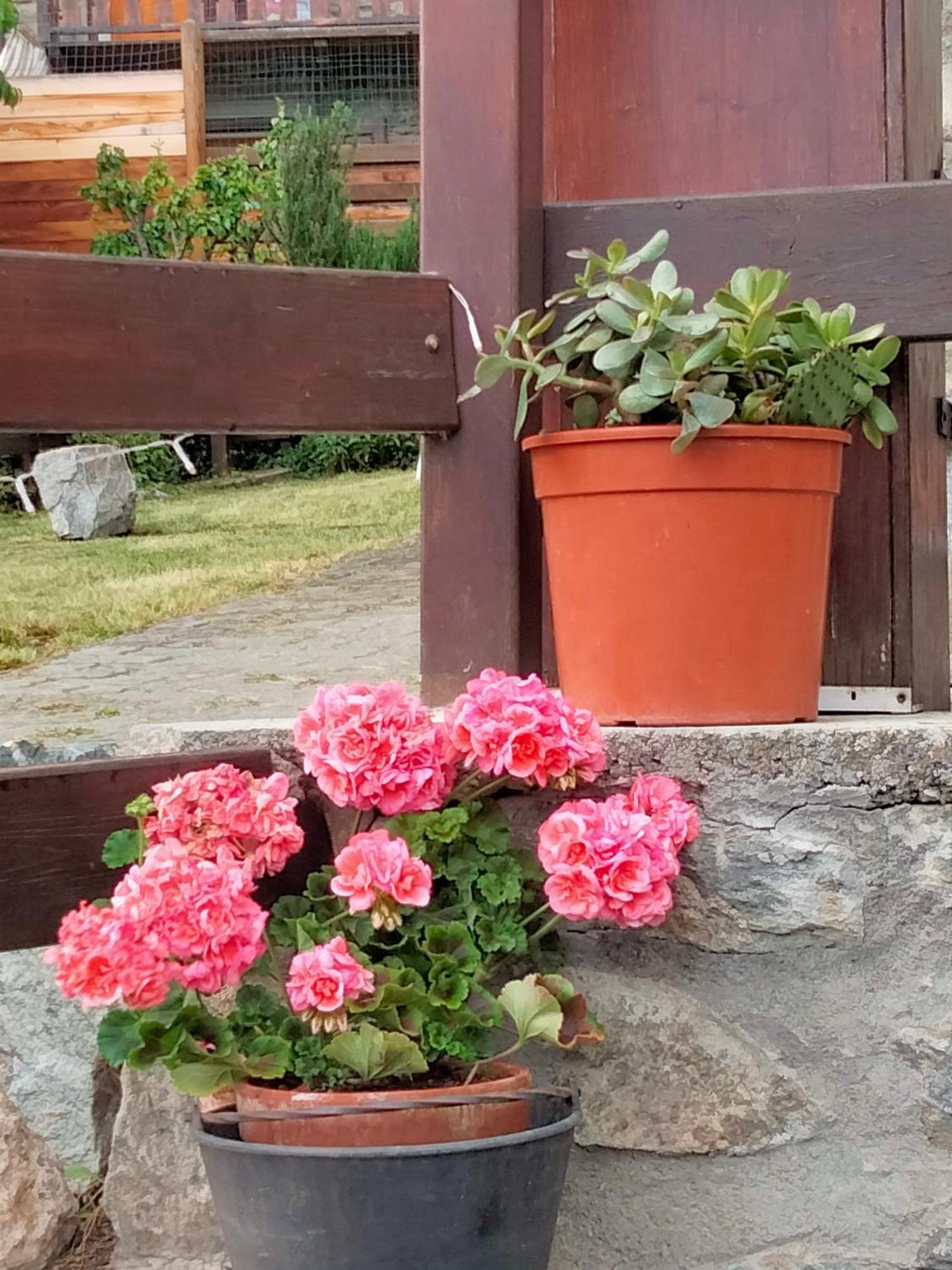 Bed and Breakfast Grand Rive Saint-Pierre Zewnętrze zdjęcie